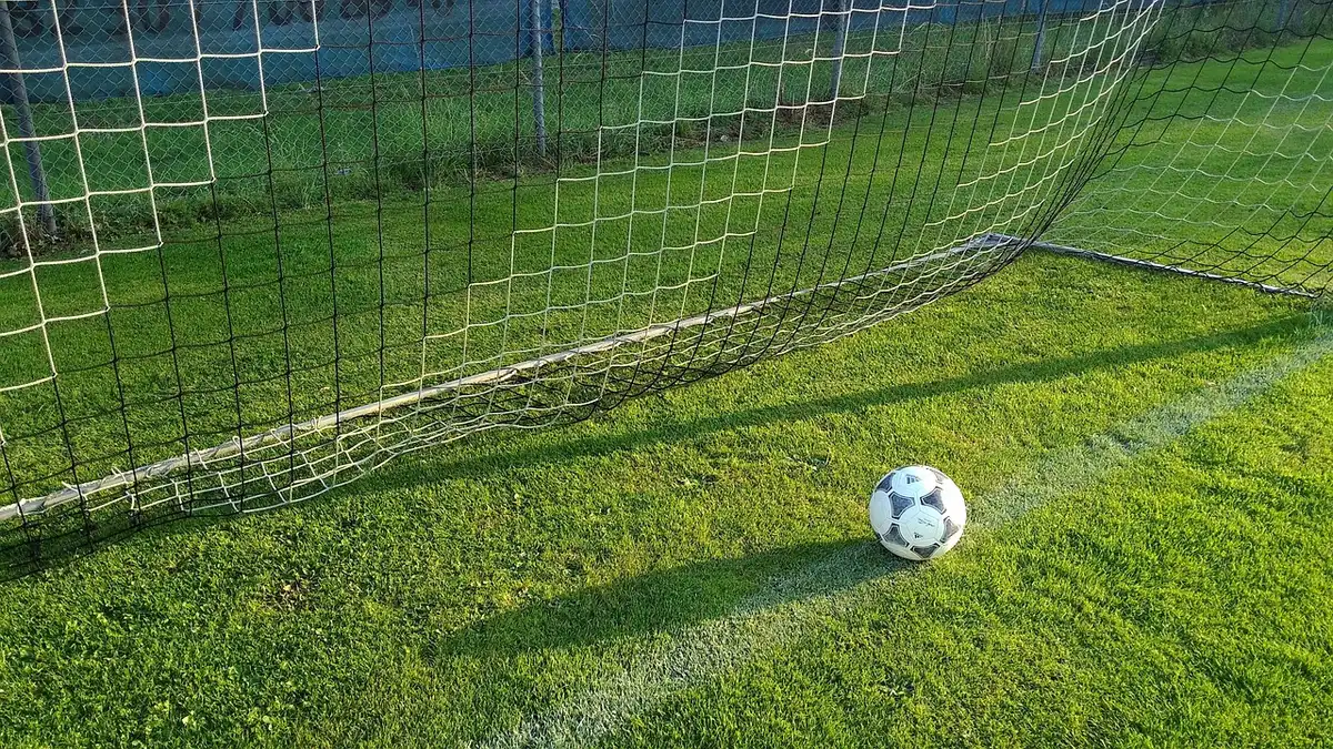 Giocatori della Fiorentina in allenamento nello stadio